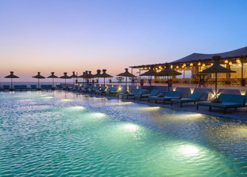 Top 5 Reasons to Choose Stellar Desert Camp for Your Next Escape